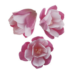 Magnolie essbare Papierblume 7cm 3Stk