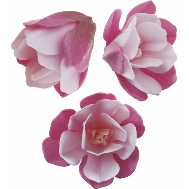 Magnolie essbare Papierblume 7cm 3Stk