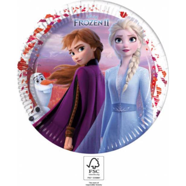 Partyteller aus Papier 23cm Gefroren