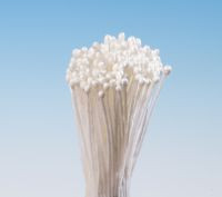 Weiße Traubenstempel