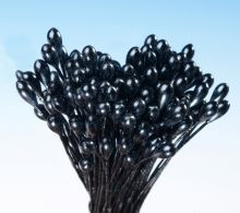 Schwarzer Perlenkernstrauß