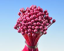 Rote Perlenkerne Bündel