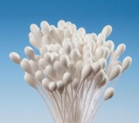 Weiße Traubenstempel