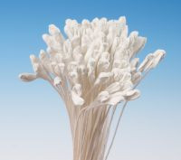 Maiglöckchen weißer Strauß