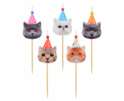 Kerzen für Kuchen 5pcs Katzen