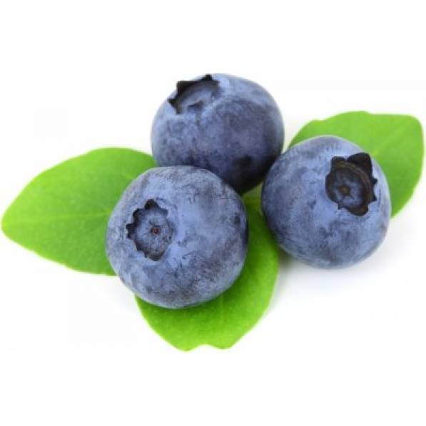 Fruchtfüllung Heidelbeer-Gel 1kg