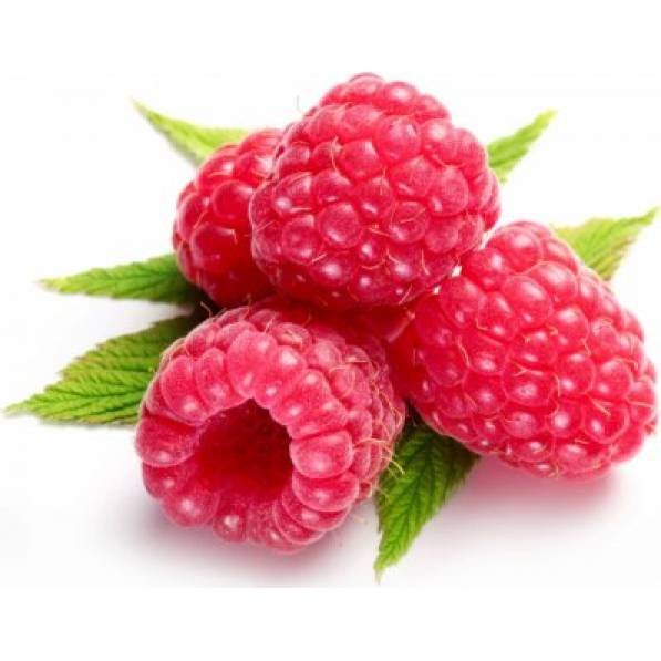 Fruchtfüllung Himbeer-Gel 1kg