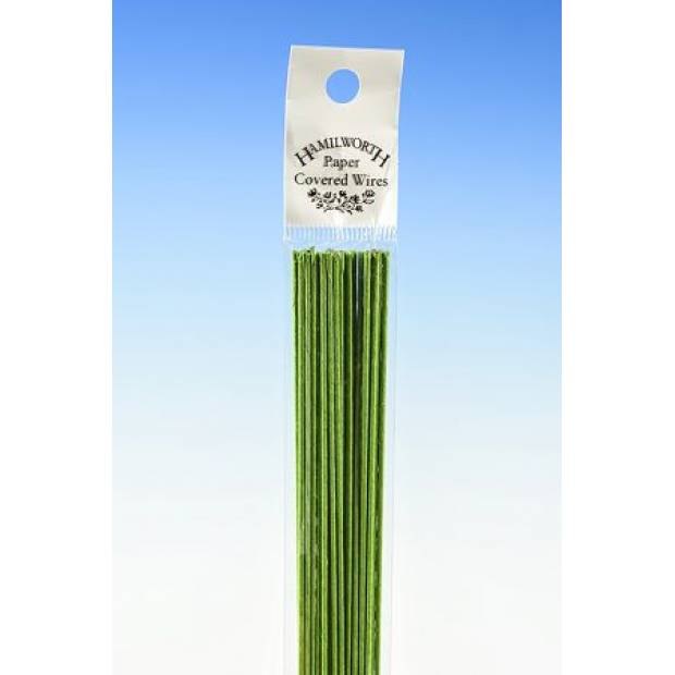 Arrangierdraht grün 36cm 50Stück Nr.28