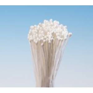 Weiße Traubenstempel