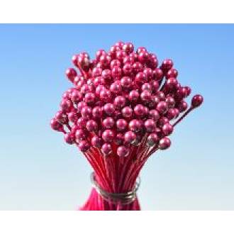 Rote Perlenkerne Bündel