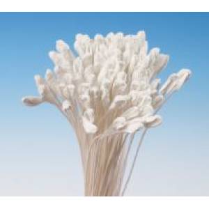 Maiglöckchen weißer Strauß