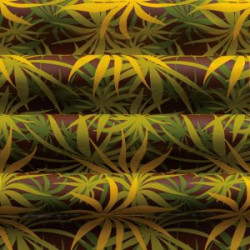 Übertragungsfolie 40x25cm TROPICAL