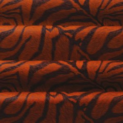 Übertragung Folie 40x25 cm ZEBRE