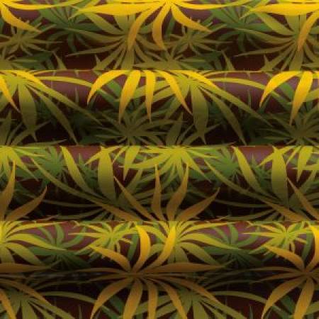 Übertragungsfolie 40x25cm TROPICAL