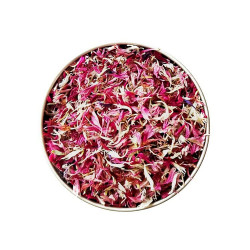 Essbare Blumen Passion 15g