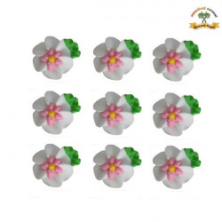 Zucker-Dekoration Blumen weiß auf Plättchen 9 Stück