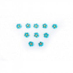 Zuckerblumen blau 10Stk