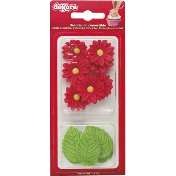 Zucchini Dekoration 7 rote Gänseblümchen und 5 Blätter