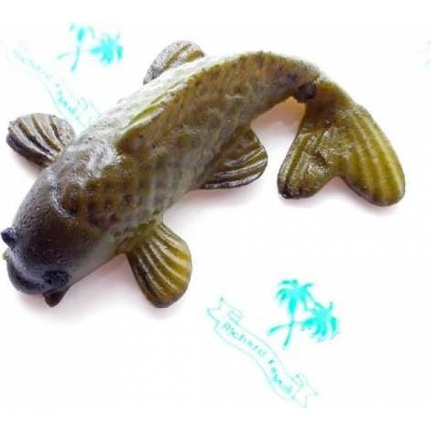Figur auf Kuchen Karpfen 5x2 cm aus Kokosmasse