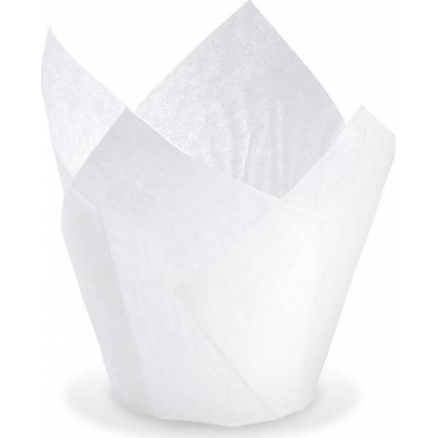 Tulpe weiß Muffin 50 x 85mm 100 Stück