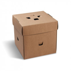 Bento-Kuchenbox 145 x 145 x 150 mm 50 Stück