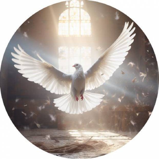 Essbare Papiertaube 19,5cm