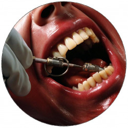 Essbarer Papierpatient beim Zahnarzt 19,5cm