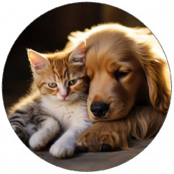 Essbarer Papierhund schlafend mit Kätzchen 19,5cm