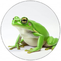 Grüner Frosch aus essbarem Papier 19,5cm