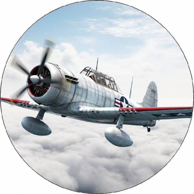 Essbares Papier kleines Flugzeug 19,5cm