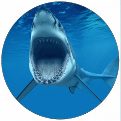 Essbarer Papier-Hai mit offenem Maul 19,5 cm