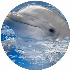 Essbarer Papierdelfin mit Kopf über dem Wasser 19,5 cm