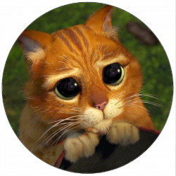 Essbares Papier Shrek Katze 19,5 cm