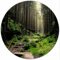 Essbares Papier Waldweg 19,5 cm