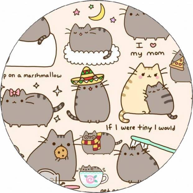 Essbares Papier Pusheen Tapete 19,5 cm