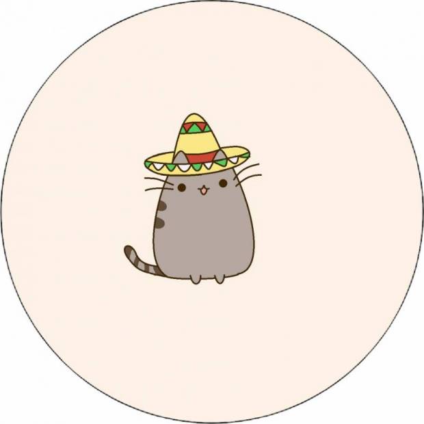 Pusheen mit Sombrero 19,5 cm
