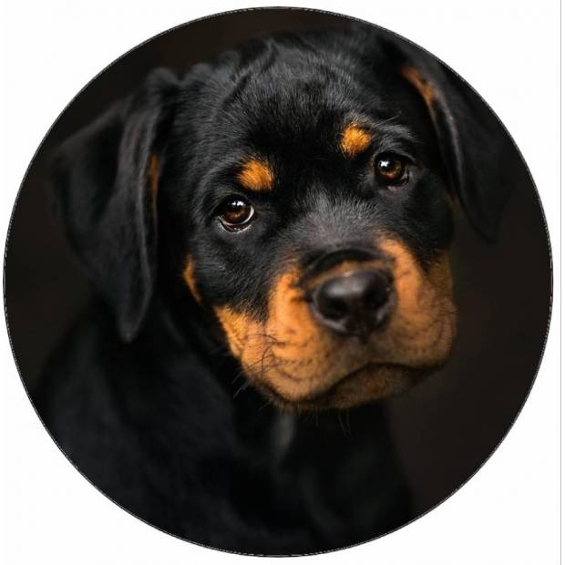 Essbares Papier-Schlafhündchen 19,5 cm