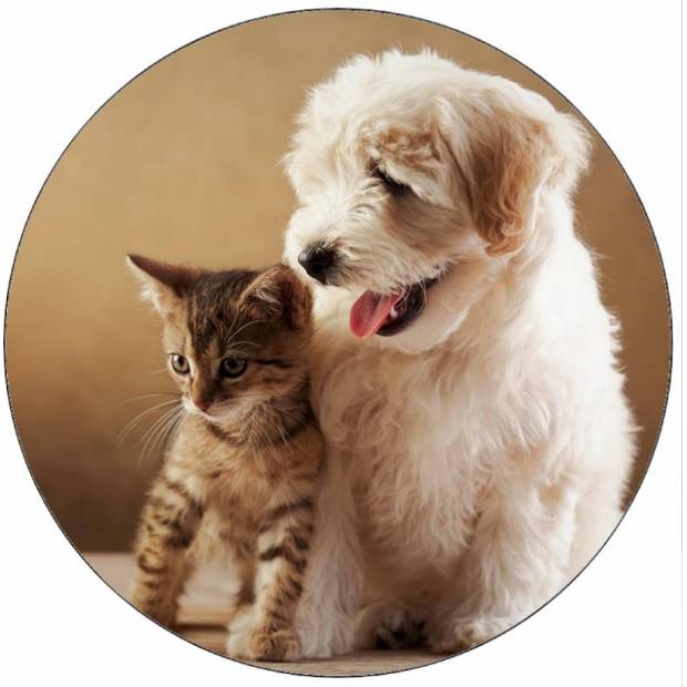 Essbare Papierkätzchen und Welpenfreunde 19,5 cm