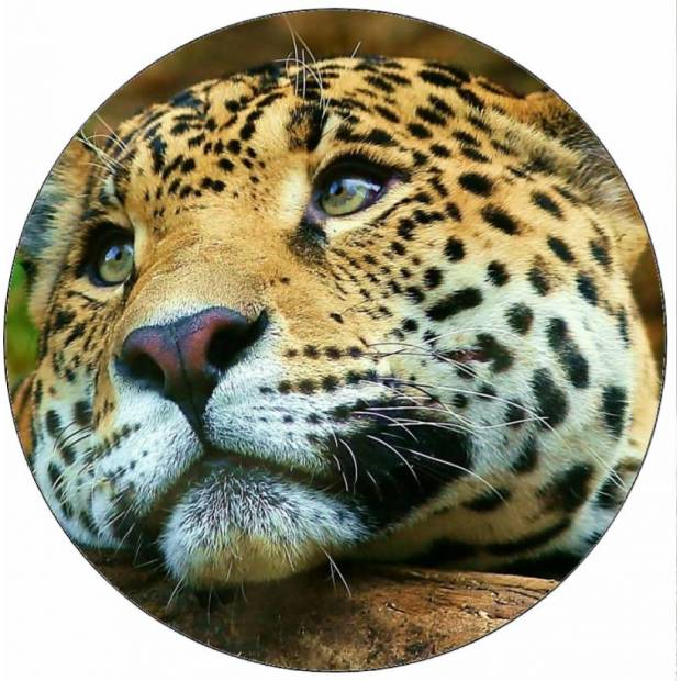 Essbares Papier Jaguar 19,5 cm