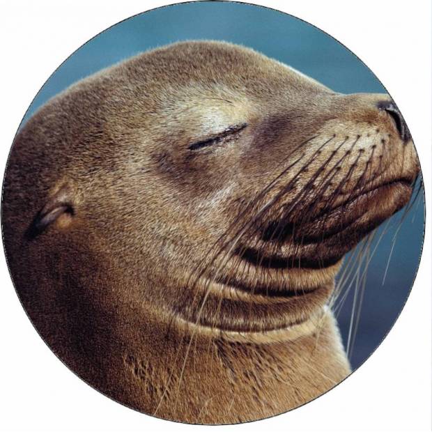 Essbares Papiersiegel 19,5 cm