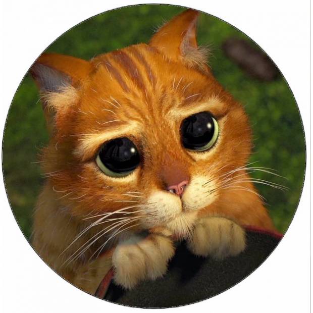 Essbares Papier Shrek Katze 19,5 cm