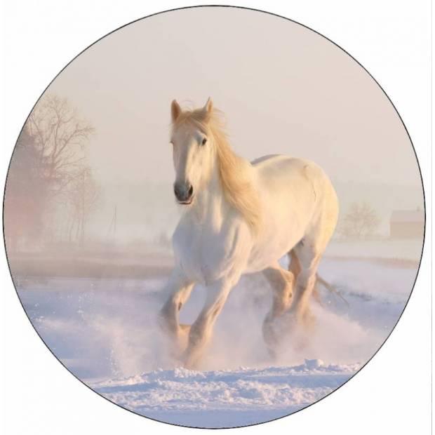Essbares Papier weißes Pferd im Schnee 19,5 cm