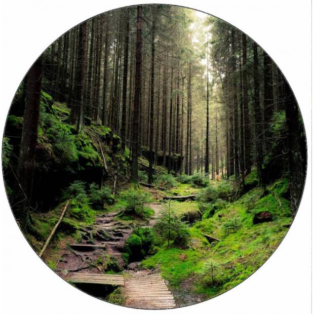 Essbares Papier Waldweg 19,5 cm