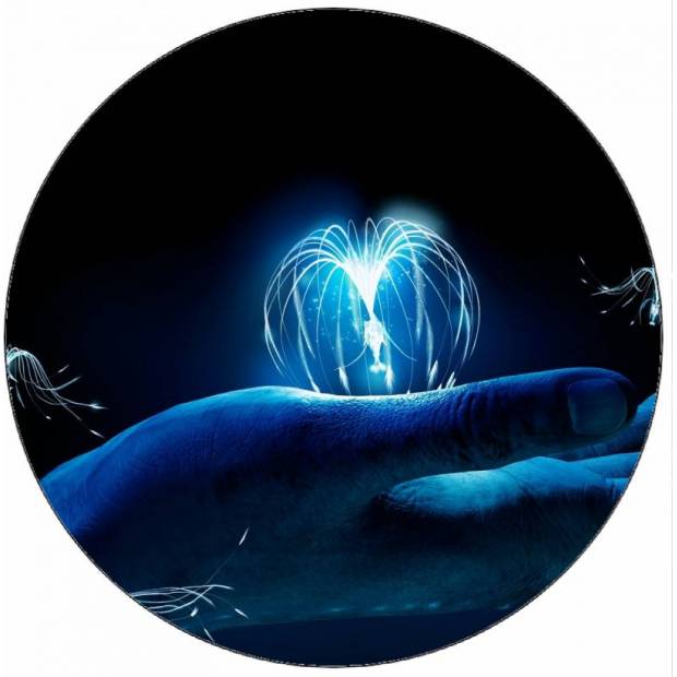 Essbares Papier Avatar Jake Sully 19,5 cm