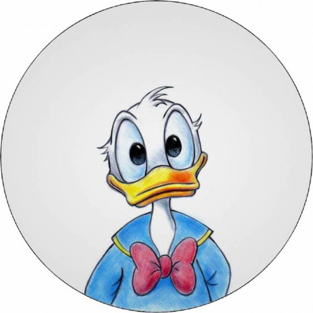 Donald Duck ohne Hut 19,5 cm