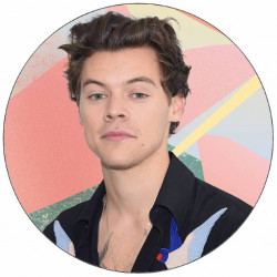 Harry Styles essbares Papier 19,5 cm