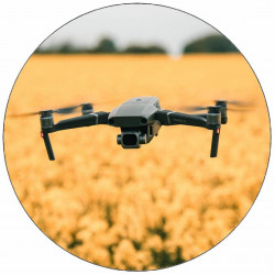 Essbare Papierdrohne auf der Wiese 19,5 cm