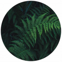 Essbarer Papier-Waldfarn 19,5 cm