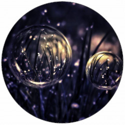 Essbare Papierblasen im Gras 19,5 cm