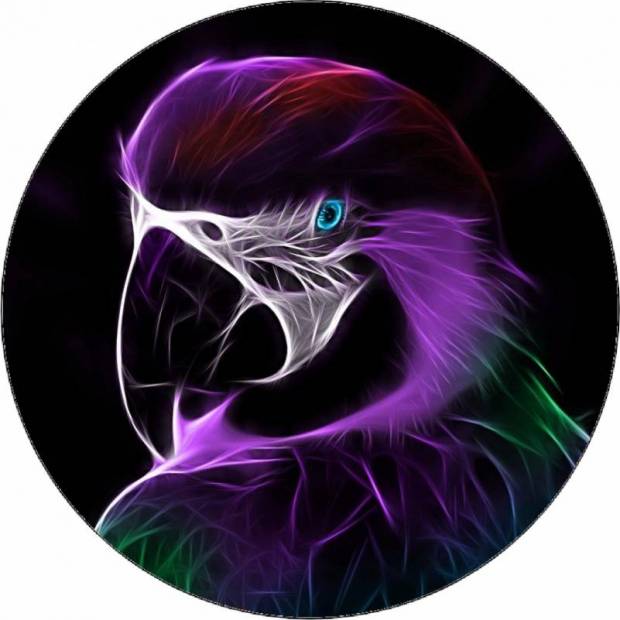 Essbares Papier Papagei digitale Zeichnung 19,5 cm